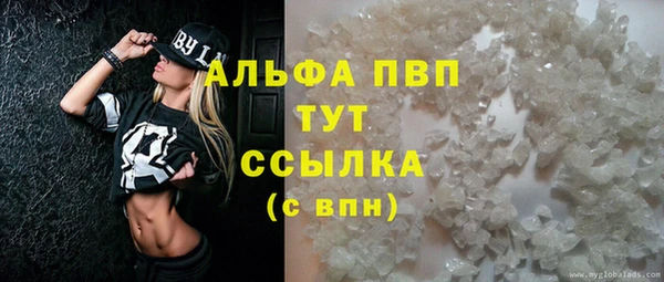 амф Аркадак